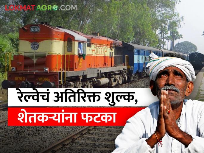 Latest News Scanner Machine in Parcel Section from Railway Administration | रेल्वे प्रशासनाकडून पार्सल सेवेला अतिरिक्त शुल्क, शेतकऱ्यांना फटका Latest News Scanner Machine in Parcel Section from Railway Administration | रेल्वे प्रशासनाकडून पार्सल सेवेला अतिरिक्त शुल्क, शेतकऱ्यांना फटका