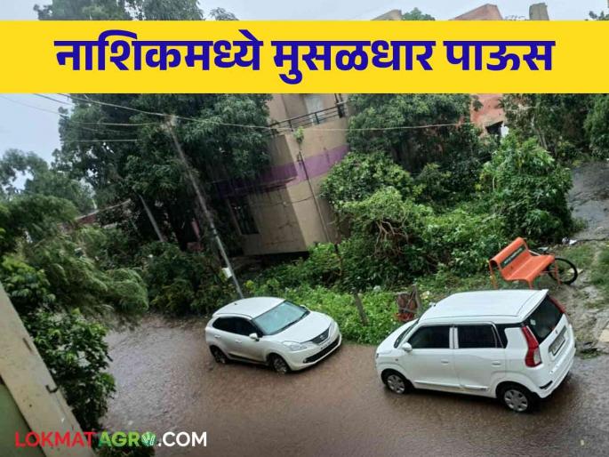 Latest News Nashik Rain update Heavy rain in short time in Nashik, relief for kharif crops  | Nashik Rain : नाशिकसह पश्चिम पट्ट्यात वळवाचा पाऊस, खरीप पिकांना दिलासा  Latest News Nashik Rain update Heavy rain in short time in Nashik, relief for kharif crops  | Nashik Rain : नाशिकसह पश्चिम पट्ट्यात वळवाचा पाऊस, खरीप पिकांना दिलासा