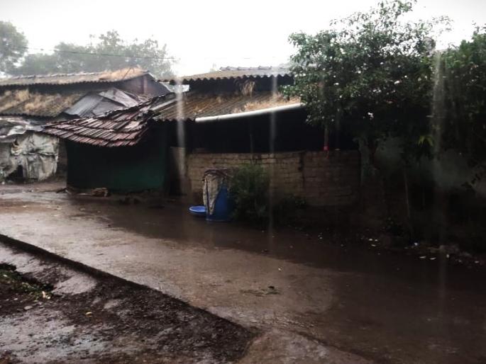 Latest News Damage to rice cultivation due to unseasonal rains in trimbakeshwer of Nashik | Nashik : नाशिकच्या पश्चिम पट्ट्यात भात शेतीचे मोठे नुकसान, ऐन काढणीच्या वेळी अवकाळीचा तडाखा