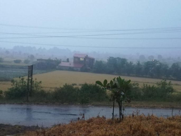 rain in trimbakeshwar area add to the difficulty of the farmer | त्र्यंबकेश्वर परिसरात पाऊस; शेतकरी राजाच्या अडचणीत भर rain in trimbakeshwar area add to the difficulty of the farmer | त्र्यंबकेश्वर परिसरात पाऊस; शेतकरी राजाच्या अडचणीत भर