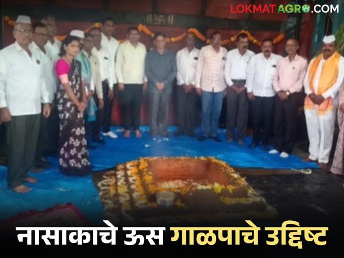 Latest News Nashik Sugar Factory aims to crush two lakh metric tons of sugarcane this year | Nashik Sugar Factory : नाशिक साखर कारखान्याचे यंदा दोन लाख मेट्रिक टन ऊस गाळपाचे उद्दिष्ट