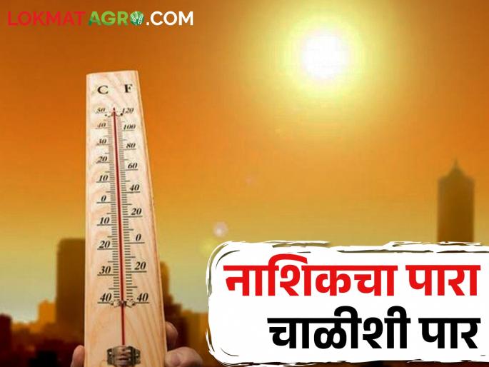 Latest news Nashik recorded highest temperature of this season at 41.2 degrees Celsius | Nashik Temperature : नाशिक जिल्हा तापला, यंदाच्या हंगामातील सर्वाधिक 41 अंश सेल्सिअस तापमानाची नोंद  Latest news Nashik recorded highest temperature of this season at 41.2 degrees Celsius | Nashik Temperature : नाशिक जिल्हा तापला, यंदाच्या हंगामातील सर्वाधिक 41 अंश सेल्सिअस तापमानाची नोंद