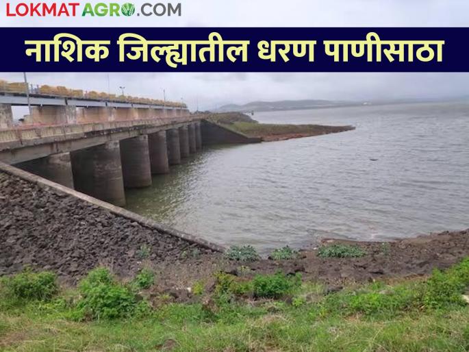 Latest News Know the percentage of water storage in dams in Nashik district | नाशिक जिल्ह्यातील धरणांतील पाणीसाठा किती टक्क्यांवर, जाणून घ्या  Latest News Know the percentage of water storage in dams in Nashik district | नाशिक जिल्ह्यातील धरणांतील पाणीसाठा किती टक्क्यांवर, जाणून घ्या