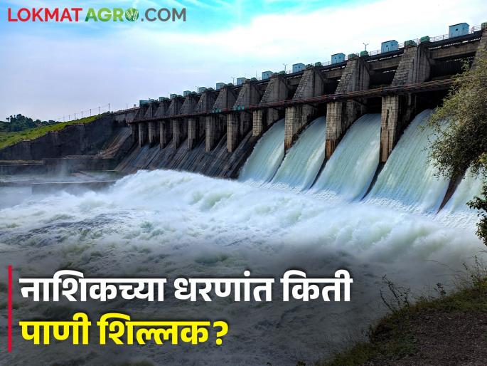 Latest news Water storage in a dam in Nashik district | नाशिक जिल्ह्यातील कोणत्या धरणांत किती पाणी? जाणून घ्या सविस्तर   Latest news Water storage in a dam in Nashik district | नाशिक जिल्ह्यातील कोणत्या धरणांत किती पाणी? जाणून घ्या सविस्तर