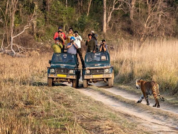 Jim Corbett National Park will be renamed as Ramganga National Park, Union Forest Minister said | जिम कॉर्बेट नॅशनल पार्कचे नाव बदलून रामगंगा नॅशनल पार्क होणार, केंद्रीय वन मंत्र्यांची माहिती Jim Corbett National Park will be renamed as Ramganga National Park, Union Forest Minister said | जिम कॉर्बेट नॅशनल पार्कचे नाव बदलून रामगंगा नॅशनल पार्क होणार, केंद्रीय वन मंत्र्यांची माहिती