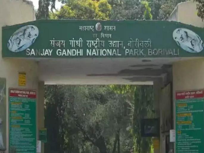 the responsibility of the forest department is also on the bmc funding of sanjay gandhi national park works provided by municipality | वनविभागाच्या कामांचाही भार मुंबई महापालिकेवर; संजय गांधी राष्ट्रीय उद्यानाच्या कामांना निधी