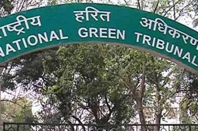 Damage to the environment; Order to pay Rs 13.88 crore to the state government | पर्यावरणाचे नुकसान; राज्य शासनाला १३.८८ कोटी रुपये भरण्याचे आदेश Damage to the environment; Order to pay Rs 13.88 crore to the state government | पर्यावरणाचे नुकसान; राज्य शासनाला १३.८८ कोटी रुपये भरण्याचे आदेश