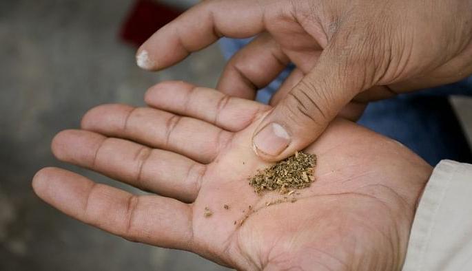 Five and a half thousand young people go on a tobacco diet every day | साडेपाच हजार युवक रोज जाताहेत तंबाखूच्या आहारी Five and a half thousand young people go on a tobacco diet every day | साडेपाच हजार युवक रोज जाताहेत तंबाखूच्या आहारी