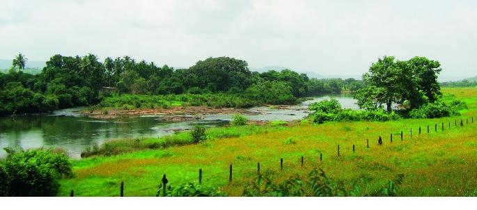 Importance of Wetlands - Bhavtal | पाणथळ जागांचे महत्व -- भवताल Importance of Wetlands - Bhavtal | पाणथळ जागांचे महत्व -- भवताल