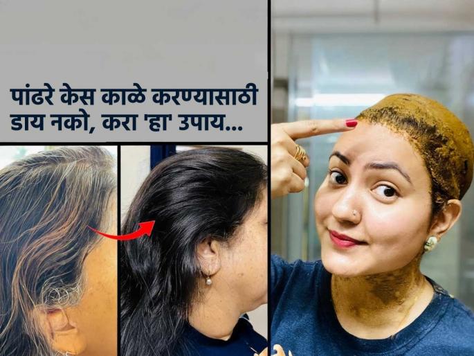 how to make natural dye for premature grey hair at home home remedies for premature grey hair homemade herbal hair dye for white hair | डोक्यावर पांढरे केसच जास्त दिसतात ? फक्त १ उपाय, केस होतील मुळापासूनच काळेभोर - एकही पांढरा केस दिसणार नाही... how to make natural dye for premature grey hair at home home remedies for premature grey hair homemade herbal hair dye for white hair | डोक्यावर पांढरे केसच जास्त दिसतात ? फक्त १ उपाय, केस होतील मुळापासूनच काळेभोर - एकही पांढरा केस दिसणार नाही...