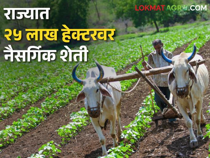 will bring 25 lakh hectares of the state under natural farming | Natural Farming राज्यातील २५ लाख हेक्टर क्षेत्र नैसर्गिक शेतीखाली आणणार