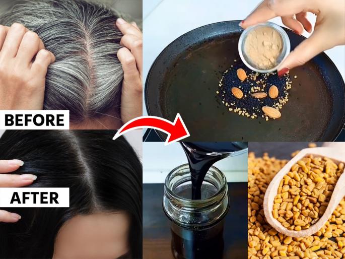 Natural hair oil for premature graying Essential Oils to Reverse Grey Hair Naturally Essential oils for black hair growth Home remedies for grey hair with oils | केस अचानकच पांढरे व्हायला लागलेत? ‘हे’ घरगुती तेल ठरते असरदार, केसांचं पांढरं होणं ‌थांबवतं...