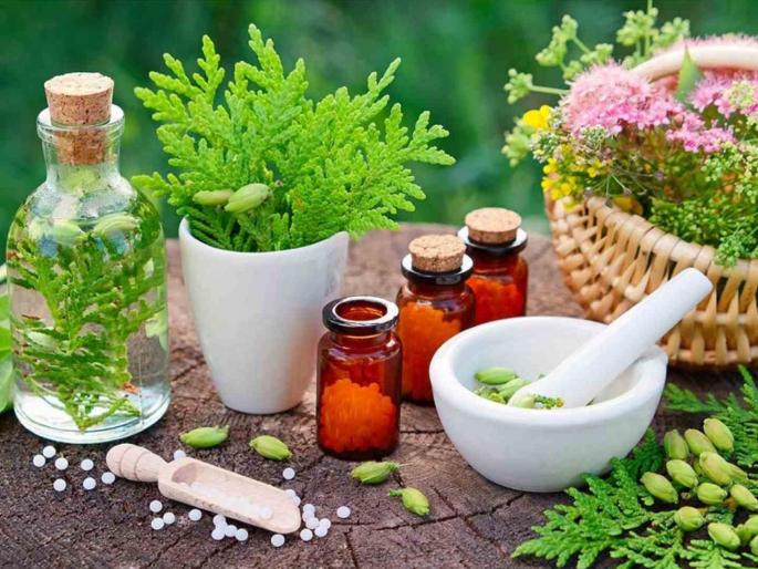 Green light for naturopathy, first naturopathy college to be started in state, 60-bed hospital in Ajra also approved | निसर्गोपचाराला हिरवा कंदील, राज्यात सुरू होणार पहिले नॅचरोपॅथी कॉलेज, आजरा येथे ६० बेडच्या हॉस्पिटललाही मंजुरी Green light for naturopathy, first naturopathy college to be started in state, 60-bed hospital in Ajra also approved | निसर्गोपचाराला हिरवा कंदील, राज्यात सुरू होणार पहिले नॅचरोपॅथी कॉलेज, आजरा येथे ६० बेडच्या हॉस्पिटललाही मंजुरी