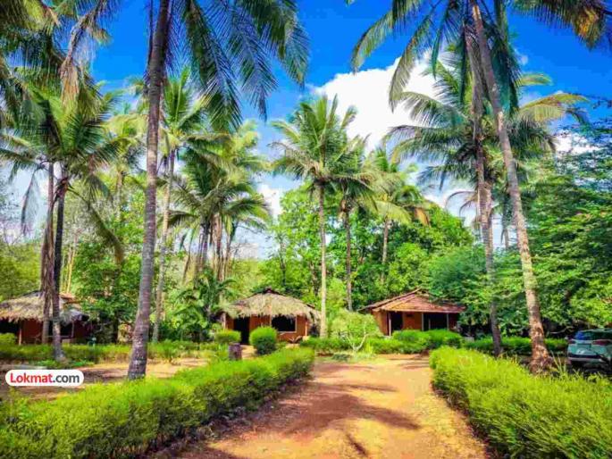 Huge employment opportunities! 5 million new jobs will be created in the Indian tourism sector! | अफाट रोजगार संधी! भारतीय पर्यटन क्षेत्रात तयार होणार ५० लाख नवीन नोकऱ्या!
