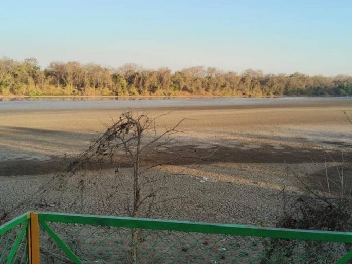 human chain on sunday to save dps lake on migratory bird day | स्थलांतरित पक्षी दिनानिमित्त डीपीएस तलाव वाचविण्यासाठी रविवारी मानवी साखळी human chain on sunday to save dps lake on migratory bird day | स्थलांतरित पक्षी दिनानिमित्त डीपीएस तलाव वाचविण्यासाठी रविवारी मानवी साखळी