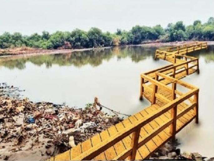 Mangrove gardens to be built in Airoli, Ghansoli; Forest Department appoints architects | ऐरोली, घणसोलीत होणार खारफुटी उद्याने; वनविभागाकडून वास्तुविशारदांची नियुक्ती