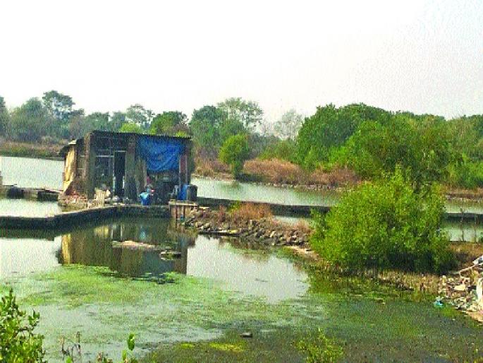 Struggling for ten years for the farmland to do | करावेतील शेतजमिनीसाठी दहा वर्षे संघर्ष Struggling for ten years for the farmland to do | करावेतील शेतजमिनीसाठी दहा वर्षे संघर्ष