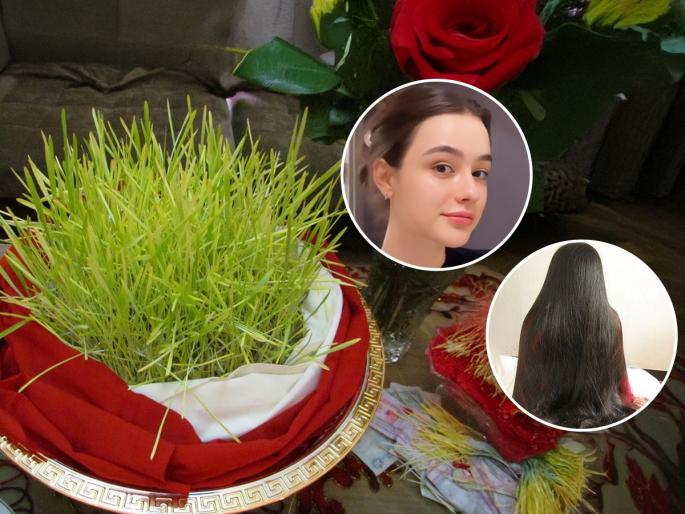 Navratri ghaatasthapana sprouts for skin & hair care ghaatasthapana plants use for glowing skin beauty benefits of Navratri ghaat sprouts | घटातील रुजवणाचे काय करायचे? केस आणि त्वचेसाठी अमृतासमान - अंकुरलेल्या रोपांमध्ये लपले आहे ब्यूटी सिक्रेट...
