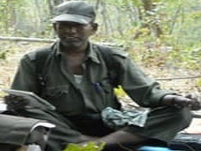 Gadchiroli: Jahal Naxalist Joganna killed in Abuzmad forest encounter, case registered against 100 | Gadchiroli: अबुझमाड जंगलातील चकमकीत जहाल नक्षलवादी जोगन्ना ठार, शंभरवर गुन्हे दाखल Gadchiroli: Jahal Naxalist Joganna killed in Abuzmad forest encounter, case registered against 100 | Gadchiroli: अबुझमाड जंगलातील चकमकीत जहाल नक्षलवादी जोगन्ना ठार, शंभरवर गुन्हे दाखल