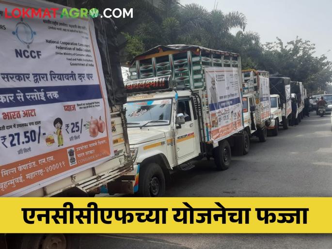 Latest News NCCF sells onion at Rs 25 per kg through mobile van, but no response | एनसीसीएफच्या योजनेचा फज्जा, मोबाईल व्हॅनद्वारे कांदा विक्रीला 'नो रिस्पॉन्स' Latest News NCCF sells onion at Rs 25 per kg through mobile van, but no response | एनसीसीएफच्या योजनेचा फज्जा, मोबाईल व्हॅनद्वारे कांदा विक्रीला 'नो रिस्पॉन्स'