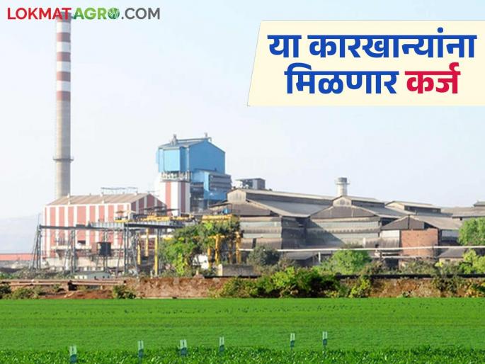 These sugar factories in the state will get loans from NCDC on the guarantee of the state government | राज्य शासनाच्या हमीवर राज्यातील या साखर कारखान्यांना मिळणार एनसीडीसीकडून कर्ज These sugar factories in the state will get loans from NCDC on the guarantee of the state government | राज्य शासनाच्या हमीवर राज्यातील या साखर कारखान्यांना मिळणार एनसीडीसीकडून कर्ज