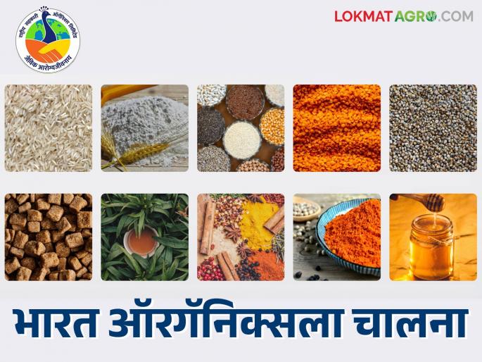 NCOL Bharat Organics : NCOL will connect all primary agricultural credit society pacs in the country with the organic mission | NCOL Bharat Organics : एनसीओएल देशातील सर्व प्राथमिक कृषी पतसंस्थांना सेंद्रीय मिशनशी जोडणार NCOL Bharat Organics : NCOL will connect all primary agricultural credit society pacs in the country with the organic mission | NCOL Bharat Organics : एनसीओएल देशातील सर्व प्राथमिक कृषी पतसंस्थांना सेंद्रीय मिशनशी जोडणार