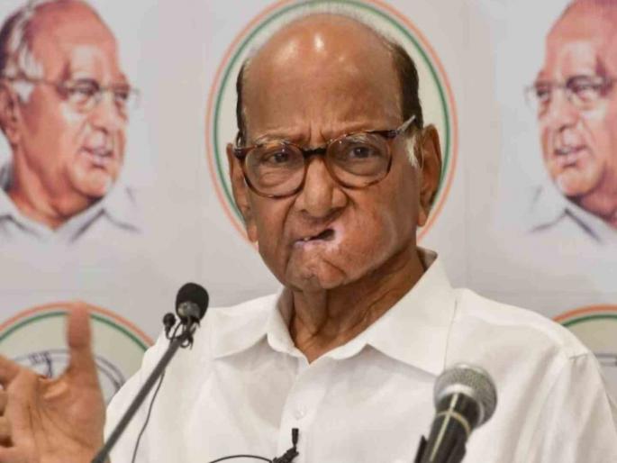 Maharashtra Vidhan Sabha Election 2024 Fourth list released by Sharad Pawar's NCP Read Who from where opportunity? | Maharashtra Vidhan Sabha Election 2024 : शरद पवारांच्या राष्ट्रवादीकडून चौथी यादी जाहीर; काटोल विधानसभेतून सलील देशमुखांना उमेदवारी Maharashtra Vidhan Sabha Election 2024 Fourth list released by Sharad Pawar's NCP Read Who from where opportunity? | Maharashtra Vidhan Sabha Election 2024 : शरद पवारांच्या राष्ट्रवादीकडून चौथी यादी जाहीर; काटोल विधानसभेतून सलील देशमुखांना उमेदवारी
