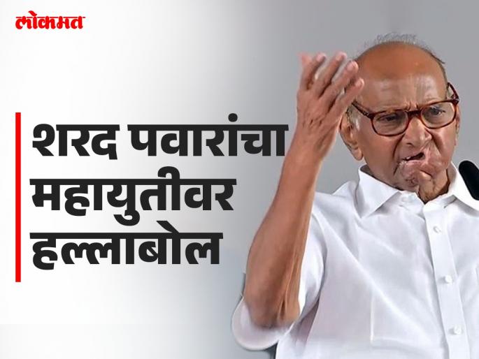 Maharashtra Vidhan Sabha Election 2024 I am not old, will not rest without change of government Sharad Pawar's determination | Maharashtra Vidhan Sabha Election 2024 : 'मी म्हातारा झालो नाही, सरकार बदलल्याशिवाय स्वस्थ बसणार नाही'; शरद पवारांचा निर्धार Maharashtra Vidhan Sabha Election 2024 I am not old, will not rest without change of government Sharad Pawar's determination | Maharashtra Vidhan Sabha Election 2024 : 'मी म्हातारा झालो नाही, सरकार बदलल्याशिवाय स्वस्थ बसणार नाही'; शरद पवारांचा निर्धार