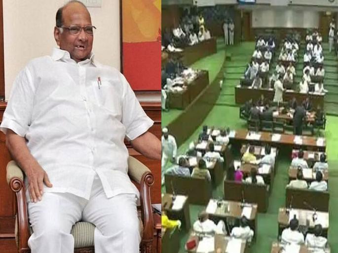 Signs of split in NCP after Shiv Sena? These five MLAs cast their votes for the election of the President | शिवसेनेनंतर राष्ट्रवादीतही फुटीची चिन्हे? अध्यक्ष निवडीच्या मतदानाला या पाच आमदारांची दांडी Signs of split in NCP after Shiv Sena? These five MLAs cast their votes for the election of the President | शिवसेनेनंतर राष्ट्रवादीतही फुटीची चिन्हे? अध्यक्ष निवडीच्या मतदानाला या पाच आमदारांची दांडी