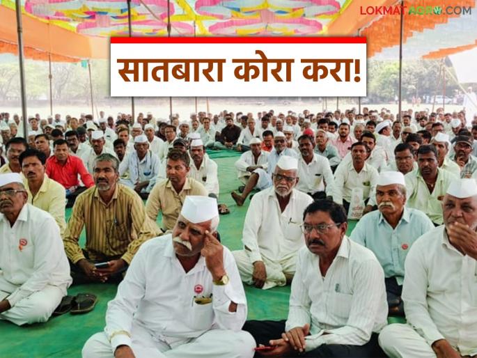 Latest News Ndcc Bank Protest by arrears farmers in Nashik district see details | Agriculture News : कर्ज माफ करा, सातबारा कोरा करा, नाशिकच्या शेतकऱ्यांची मागणी, वाचा सविस्तर Latest News Ndcc Bank Protest by arrears farmers in Nashik district see details | Agriculture News : कर्ज माफ करा, सातबारा कोरा करा, नाशिकच्या शेतकऱ्यांची मागणी, वाचा सविस्तर