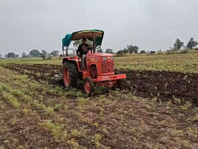 Unseasonal rains and hail caused heavy damage to the gram crop | गारांनी झोपला, धुक्याने जळाला; शेतकऱ्याने १० एकर हरभऱ्यावर नांगर फिरविला!  Unseasonal rains and hail caused heavy damage to the gram crop | गारांनी झोपला, धुक्याने जळाला; शेतकऱ्याने १० एकर हरभऱ्यावर नांगर फिरविला!