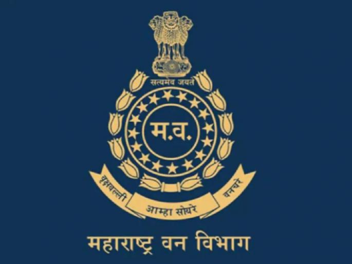 Now the laborers in the forest department will get their wages within a month | आता वन विभागात मजुरांना महिन्याभरातच मिळणार मजुरी Now the laborers in the forest department will get their wages within a month | आता वन विभागात मजुरांना महिन्याभरातच मिळणार मजुरी