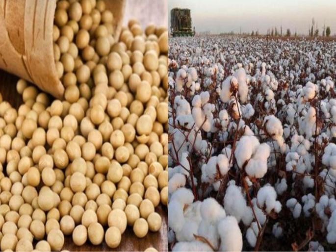 As agricultural commodities hit the market, prices fell, a result of global markets | दिवाळीनंतर दिवाळं! शेतमाल बाजारात येताच भाव घसरले, जागतिक बाजारपेठेचा परिणाम As agricultural commodities hit the market, prices fell, a result of global markets | दिवाळीनंतर दिवाळं! शेतमाल बाजारात येताच भाव घसरले, जागतिक बाजारपेठेचा परिणाम