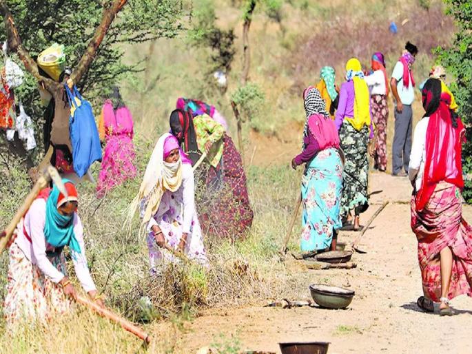 23 scammers in 'Magrarohoyo' backed; Even if found guilty, no action is taken | 'मग्रारोहयो'तील २३ घोटाळेबाज पाठीशी; दोषी आढळूनही कारवाई नाही 23 scammers in 'Magrarohoyo' backed; Even if found guilty, no action is taken | 'मग्रारोहयो'तील २३ घोटाळेबाज पाठीशी; दोषी आढळूनही कारवाई नाही