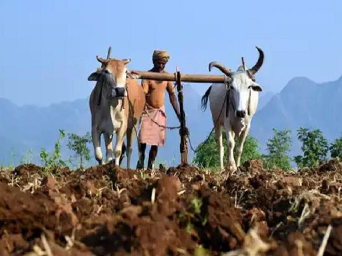 The noose of 'Sibyl' on the neck of farmers, banks require a score of up to 650 | शेतकऱ्यांच्या मानगुटीला ‘सिबिल’चा फास, बँकांना ६५० पर्यंत स्कोअर आवश्यक The noose of 'Sibyl' on the neck of farmers, banks require a score of up to 650 | शेतकऱ्यांच्या मानगुटीला ‘सिबिल’चा फास, बँकांना ६५० पर्यंत स्कोअर आवश्यक