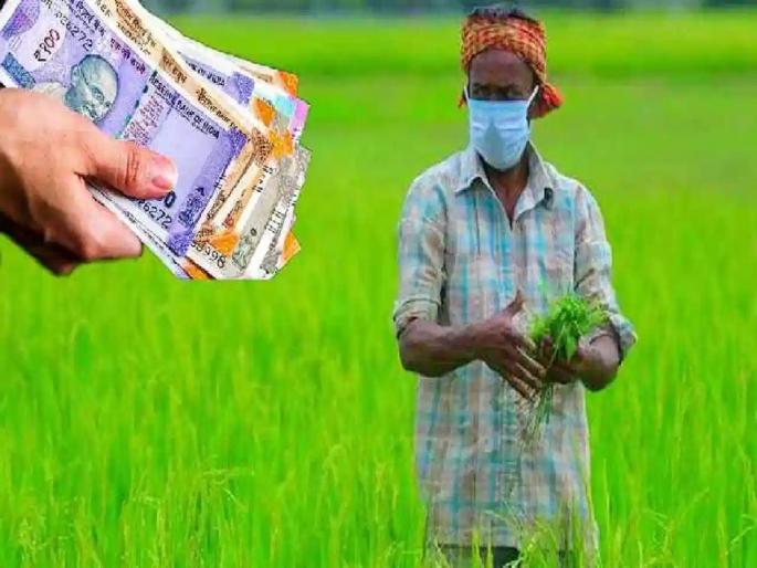 There is no crop in the field, how to check the forecasts? Insurance company rejected 25 thousand applications | शेतात पीक नाही, कशी करणार पूर्वसूचनांची पाहणी? विमा कंपनीने नाकारले २५ हजार अर्ज There is no crop in the field, how to check the forecasts? Insurance company rejected 25 thousand applications | शेतात पीक नाही, कशी करणार पूर्वसूचनांची पाहणी? विमा कंपनीने नाकारले २५ हजार अर्ज