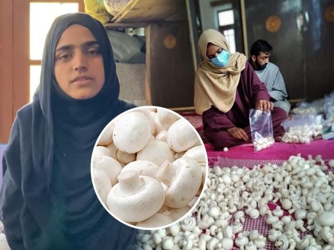 Mashroom has fulfilled the dream of 22 year old Nilofar .. NilofarJaan from a small village in Pulwama earns Rs. 50,000 per month! | मश्रूम शेतीची कमाल, 22 वर्षांच्या काश्मिरी निलोफर जानने उभा केला मश्रूम बिझनेस!