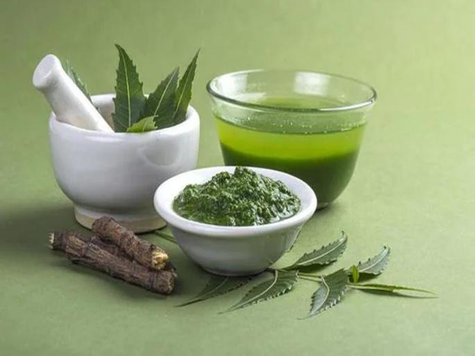 Neem is a boon for skin and hair, use it and see for yourself. |  त्वचा आणि केसांसाठी कडुलिंब आहे वरदान, उपयोग करा आणि पहा स्वत:त बदल..