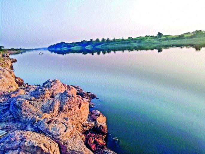 Panoramic Panoramic Terror | नीरा नदीपात्रात मंगुर माशाची दहशत Panoramic Panoramic Terror | नीरा नदीपात्रात मंगुर माशाची दहशत