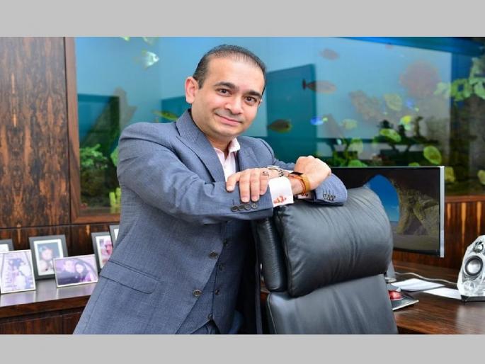 14 thousand crore scam; How much will the fugitive Nirav Modi be punished | 14 हजार कोटींचा घोटाळा; भारतात आणल्यावर फरार नीरव मोदीला किती शिक्षा होणार..? 14 thousand crore scam; How much will the fugitive Nirav Modi be punished | 14 हजार कोटींचा घोटाळा; भारतात आणल्यावर फरार नीरव मोदीला किती शिक्षा होणार..?