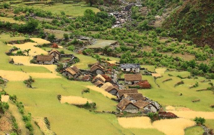 Received 24.55 crore Thane district for the crop loss due to excessive rainfall last year | गेल्या वर्षी अतिवृष्टीमुळे झालेल्या पिक नुकसानीसाठी २४ .५५ कोटी ठाणे​​​​​​​ जिल्ह्याला प्राप्त