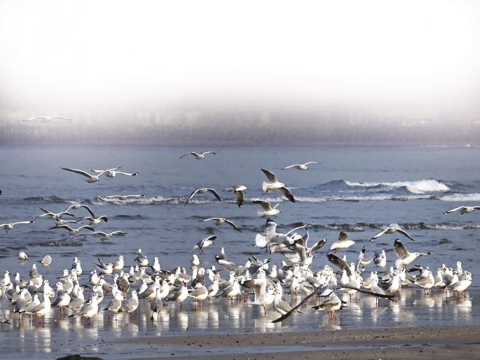 Tourists flock to Konkan for Thirty First; Special preference for Ganapatipule, Varaneshwar | थर्डी फर्स्टसाठी पर्यटकांना लागले कोकणचे वेध; गणपतीपुळे, वेळणेश्वरला विशेष पसंती