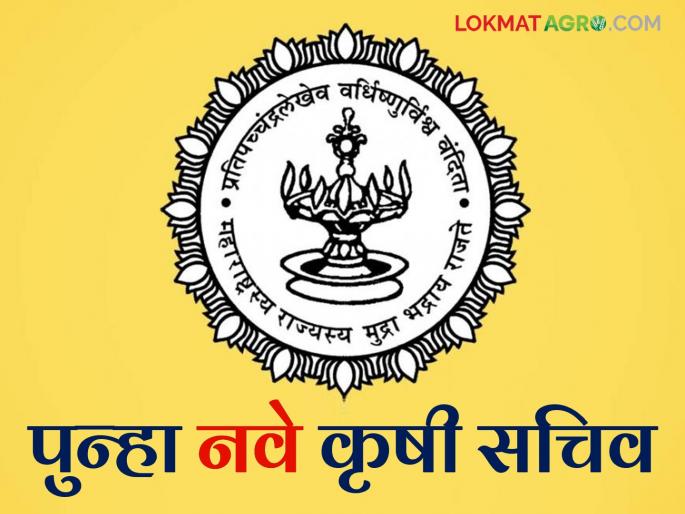 Eight IAS officers transferred in the state; New Secretary for Agriculture and Animal Husbandry | राज्यातील आठ आयएएस अधिकाऱ्यांच्या बदल्या; कृषी व पशुसंवर्धनला पुन्हा नवे सचिव