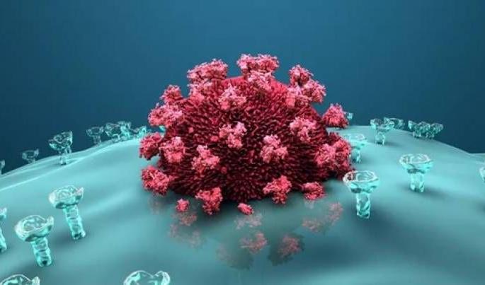 New variant of Corona found in Nagpur; Patient travel background | नागपुरात आढळला कोरोनाचा नवा व्हेरिएंट; रुग्णांना प्रवासाची पार्श्वभूमी New variant of Corona found in Nagpur; Patient travel background | नागपुरात आढळला कोरोनाचा नवा व्हेरिएंट; रुग्णांना प्रवासाची पार्श्वभूमी