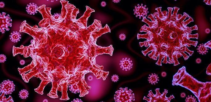 Corana virus attack only to the male doer in the house | कोराना विषाणूचा घरातील कर्त्या पुरुषावरच घाला