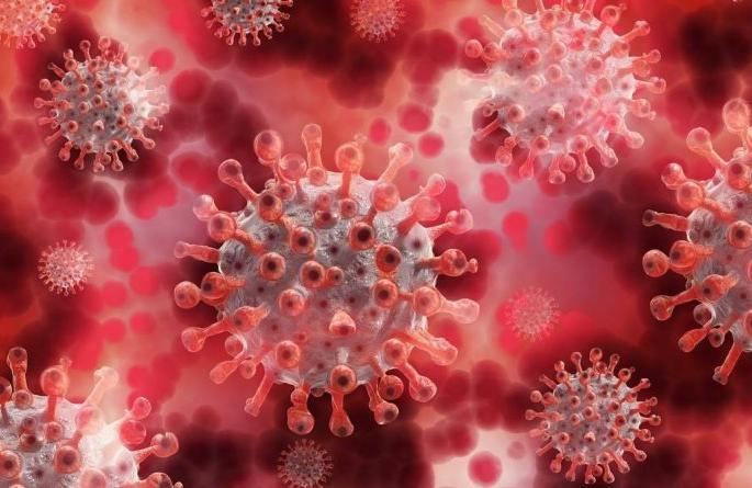 New Corona virus threat averted immediately! | नव्या कोरोना विषाणूचा तूर्तास धोका टळला!