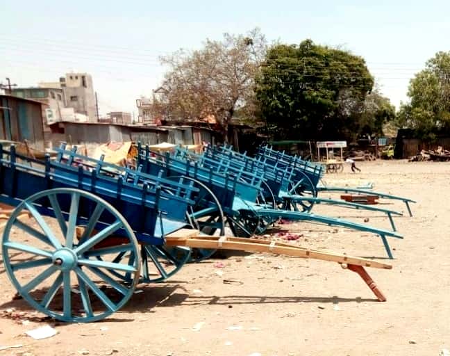 The 'glory' of the bullock cart is still there | बैलगाडीची ‘शान’ अजूनही कायम The 'glory' of the bullock cart is still there | बैलगाडीची ‘शान’ अजूनही कायम