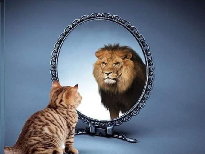 Start the week with two things, so that you don't have to face failure! | आठवड्याची सुरुवात 'या' दोन गोष्टींनी करा, जेणेकरून अपयशाचे तोंड बघावे लागणार नाही!