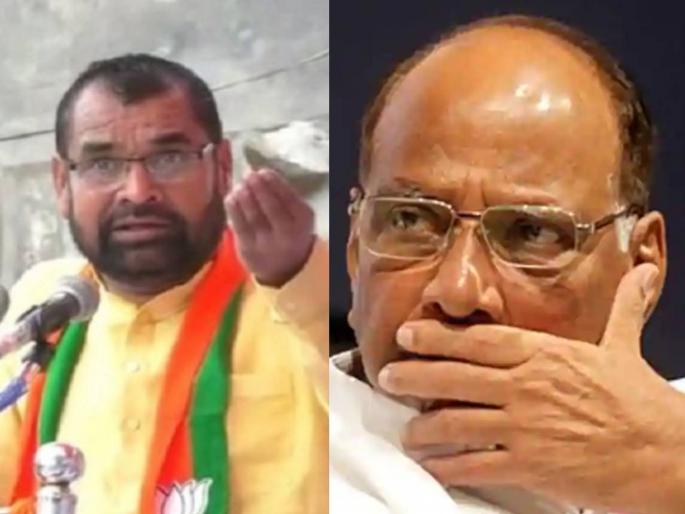 sadabhau khot criticism on sharad pawar farmer agitation | शरद पवार शेतकऱ्यांचे 'जाणता राजा' नव्हे, तर विश्वासघात करणारे राजे होतील: सदाभाऊ खोत sadabhau khot criticism on sharad pawar farmer agitation | शरद पवार शेतकऱ्यांचे 'जाणता राजा' नव्हे, तर विश्वासघात करणारे राजे होतील: सदाभाऊ खोत