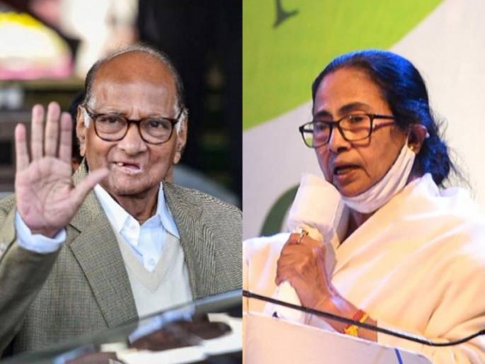 West Bengal Election Result 2021 ncp chief sharad pawar tweet congratulated mamata banerjee | West Bengal Election Result 2021: पश्चिम बंगालच्या निकालानंतर शरद पवारांकडून दीदींचं अभिनंदन अन् दिले महत्वपूर्ण संकेत West Bengal Election Result 2021 ncp chief sharad pawar tweet congratulated mamata banerjee | West Bengal Election Result 2021: पश्चिम बंगालच्या निकालानंतर शरद पवारांकडून दीदींचं अभिनंदन अन् दिले महत्वपूर्ण संकेत